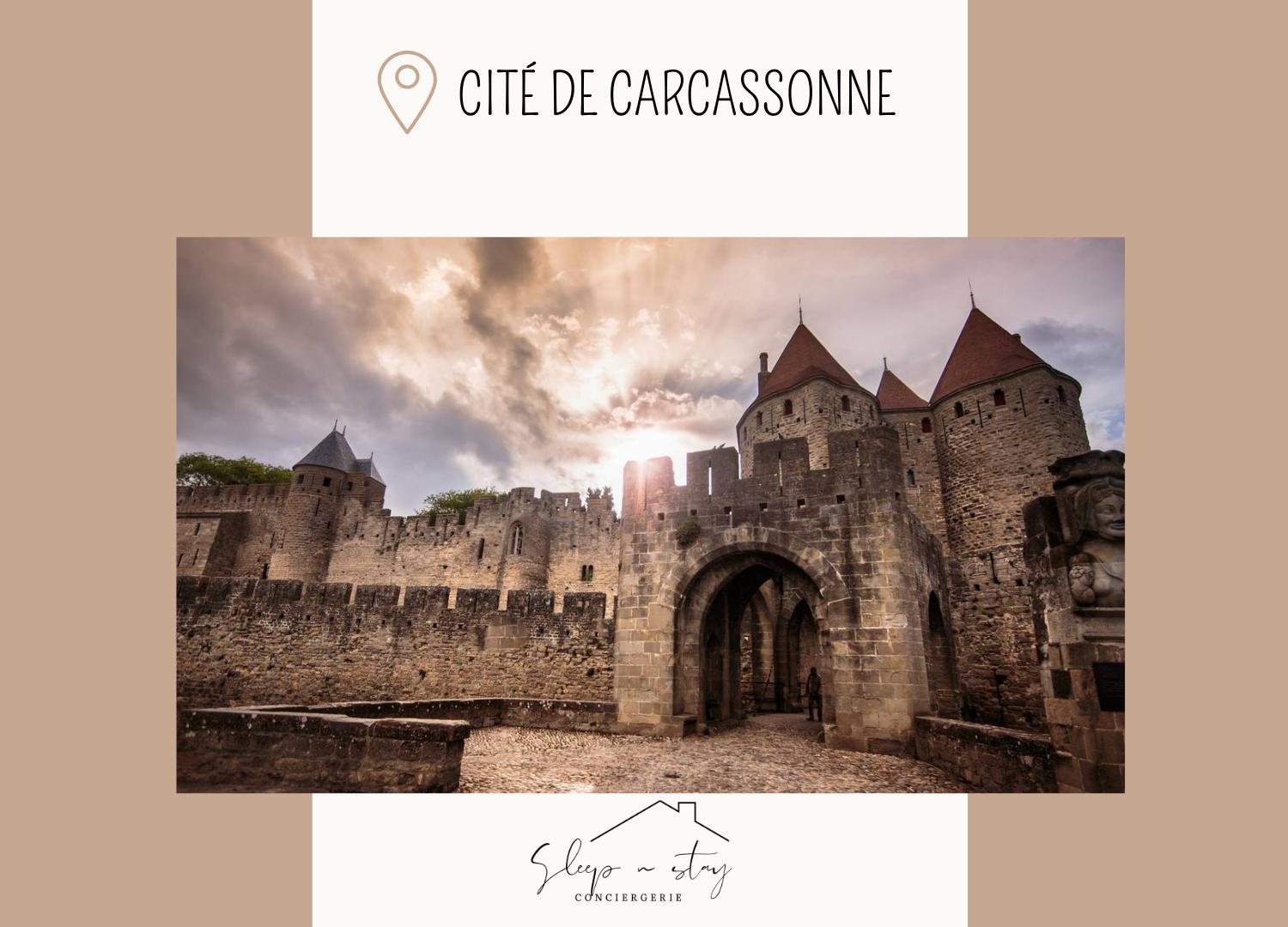 Apartment La Terasse Carcassonne Eksteriør billede